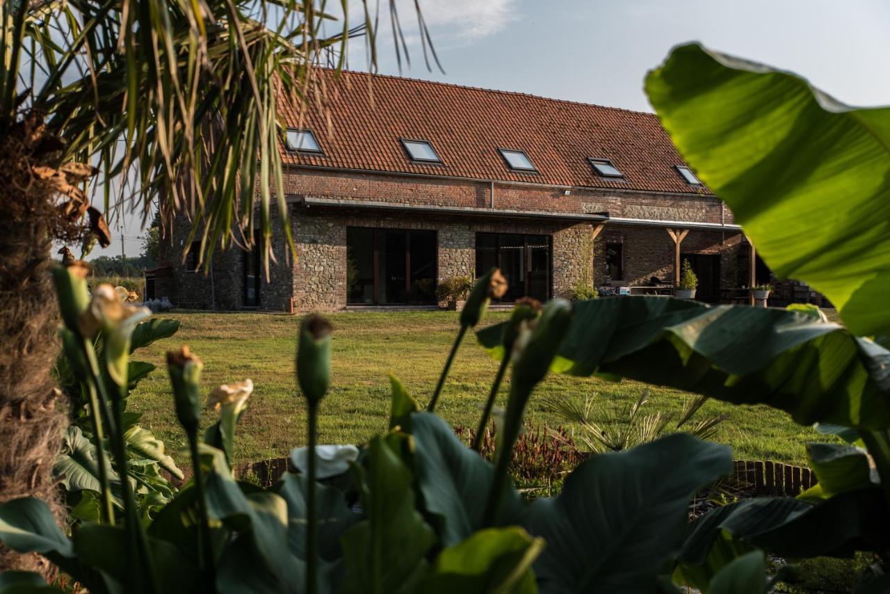 Au Petit Canteleu - Bed & Breakfast Beloeil 外观 照片